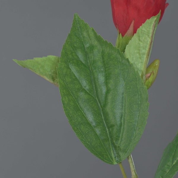 Detailansicht eines gezackten grünen Blattes einer künstlichen Hibiskuspflanze.