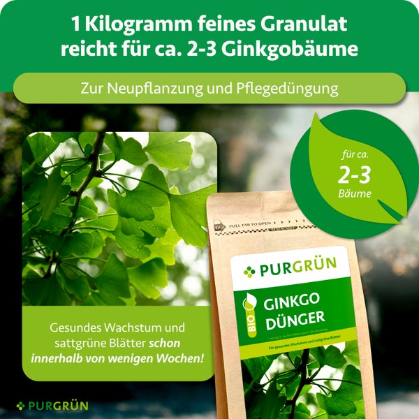 Purgrün Bio Ginkgo Dünger, 1 Kilogramm feines Granulat für circa 2 bis 3 Bäume, zur Neupflanzung und Pflegedüngung für gesundes Wachstum.