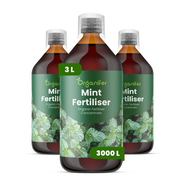 Drei Flaschen Organifer Minzdünger, organisches Düngerkonzentrat, insgesamt 3 Liter.
