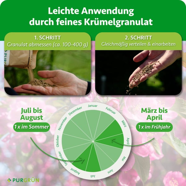 Infografik zur Anwendung von feinem Krümelgranulat mit zwei Schritten und Kalender für die optimale Düngezeit im Frühjahr und Sommer.