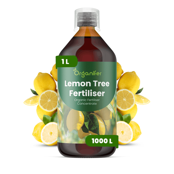 Organifer Zitronenbaumdünger, organisches Düngerkonzentrat, 1 Liter Flasche mit Messbecher und Zitronen.