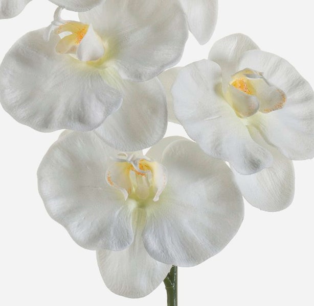 Künstliche Alocasia Pflanze mit großen grünen Blättern im schwarzen Topf.