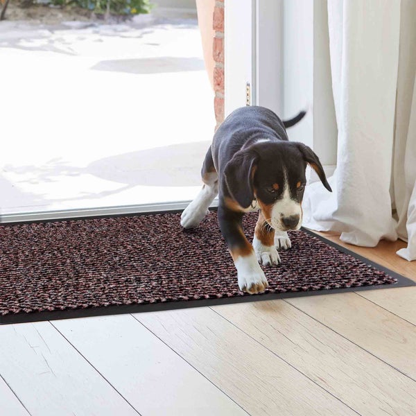 Fußmatte im Eingangsbereich mit Welpe