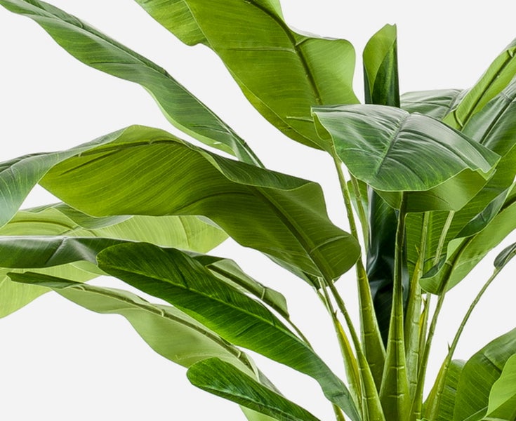 Künstliche Strelitzia mit großen grünen Blättern