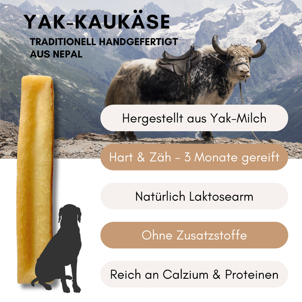 Yak-Käse für Hunde, hergestellt aus Yak-Milch, hart und zäh, drei Monate gereift, natürlich laktosearm, ohne Zusatzstoffe, reich an Kalzium und Proteinen