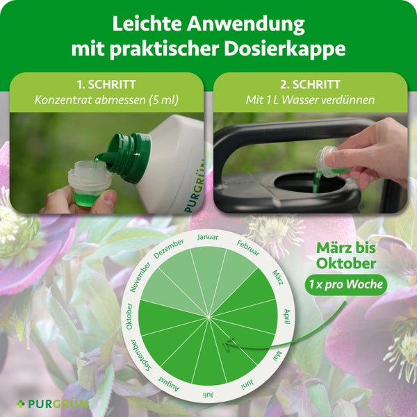 Anleitung für Purgrün Dünger: Schritt eins 5 Milliliter abmessen, Schritt zwei mit 1 Liter Wasser mischen. Anwendung von März bis Oktober.