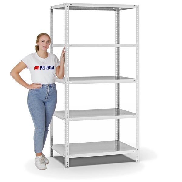 PROREGAL Fachbodenregal Schraubsystem Heavy-Duty Grundregal HxBxT 200 x 100 x 60 cm 5 Ebenen Fachlast 350 kg Beidseitig Nutzbar Lichtgrau