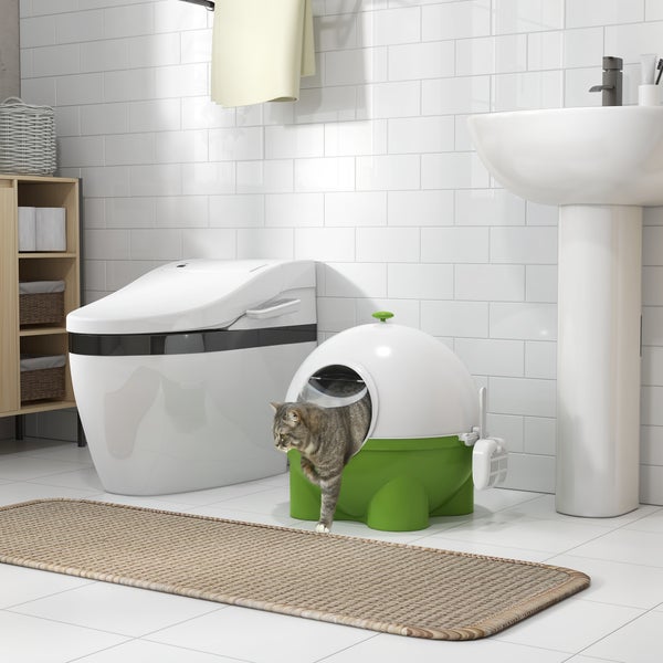 PawHut Katzentoilette, 53L x 51B x 48H cm, Kunststoff, PC, Grün+Weiß