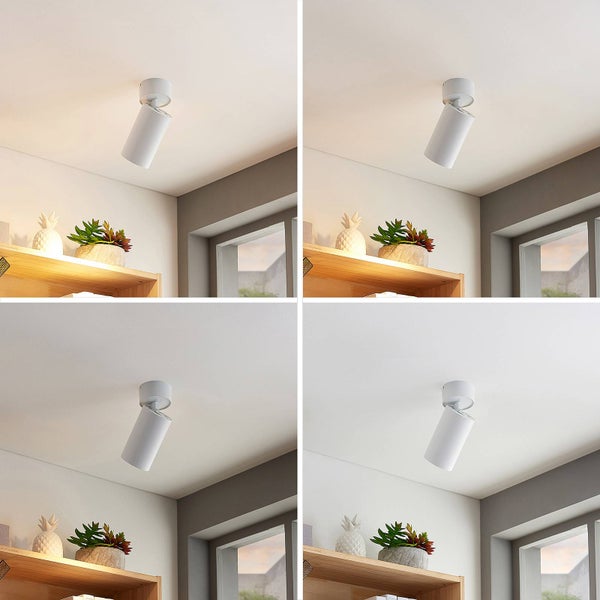 Weißer, zylindrischer Deckenstrahler an einer weißen Decke über einem Holzregal mit dekorativen Pflanzen.