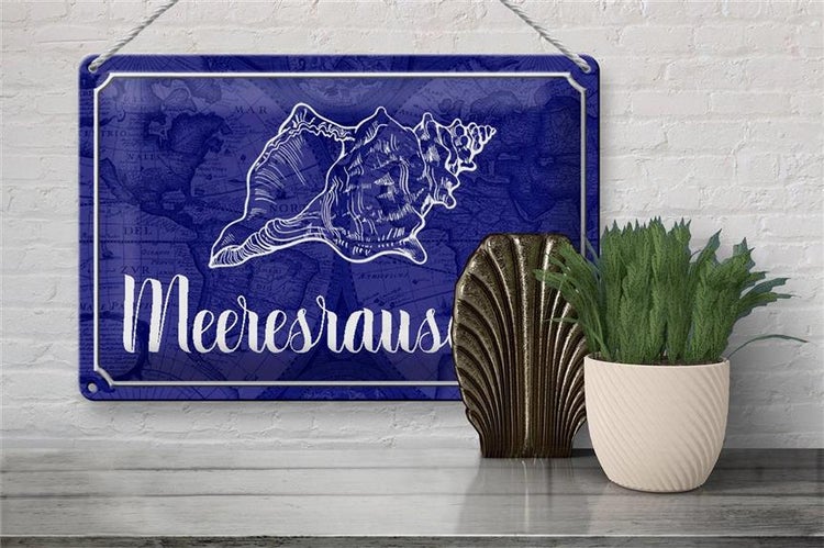 Blechschild Spruch 30x20cm Meeresrauschen Muschel Meer