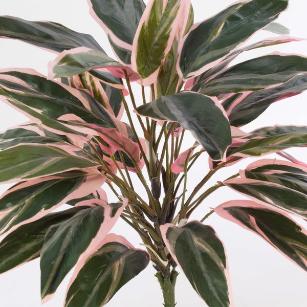 Künstlicher Ficus mit dichten grünen Blättern und braunen Stämmen.