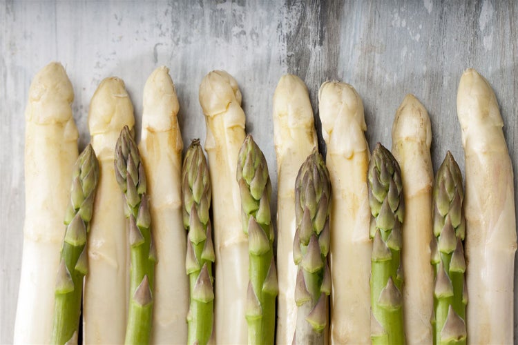 Asparagus officinalis, Spargel, ca. 11x11 cm Topf