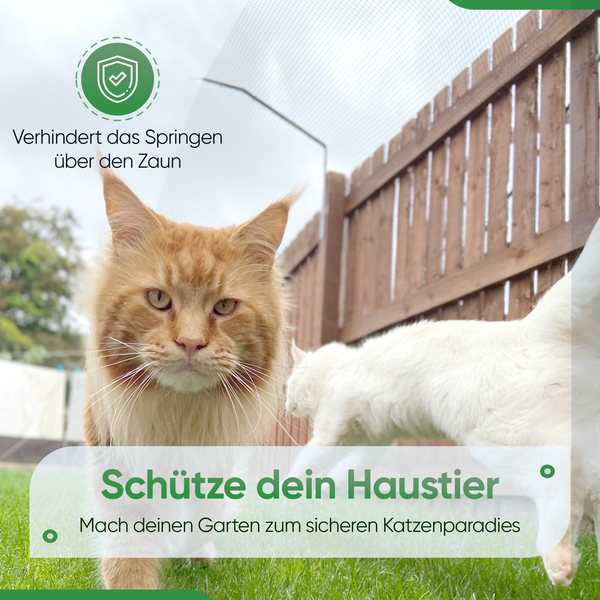 Katzen-Sicherheitsnetz auf Holzzaun im Garten, verhindert das Überklettern. Symbol für Sicherheit und Schutz für Haustiere.