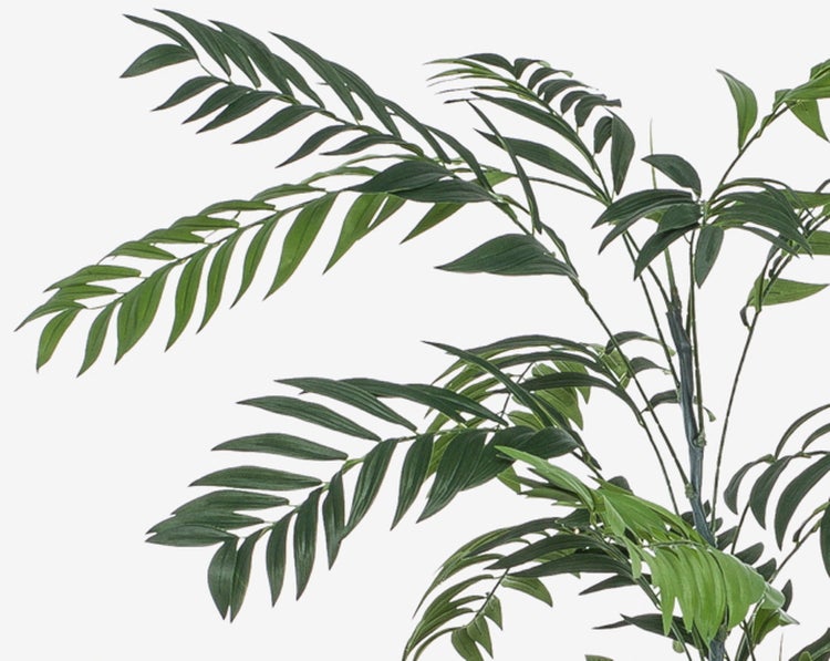 Künstliche Palme mit grünen Blättern und dünnen Stielen.