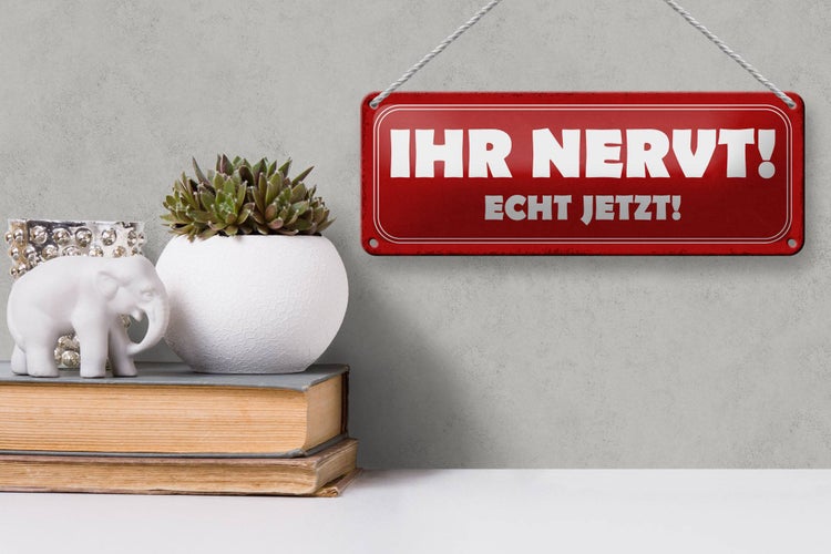 Blechschild Spruch 27x10cm ihr nervt echt jetzt Dekoration