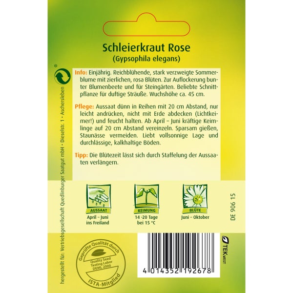 Schleierkraut Rose Samen von Quedlinburger SAATGUT