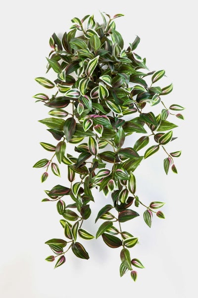 Künstliche Hängepflanze Tradescantia mit gemusterten Blättern.
