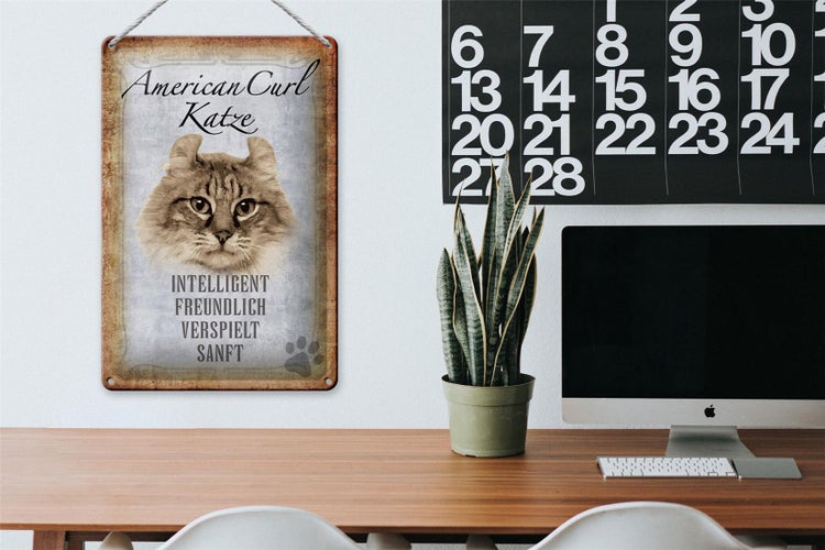 Blechschild Spruch 20x30cm American Curl Katze Schild