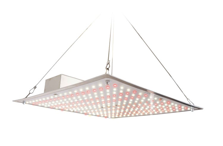 Romberg LED Pflanzenbeleuchtung – 5 Watt Energiespar-LED für Pflanzenanzucht, Hohe Lebensdauer, Perfekt für Zimmergewächshäuser, Neutralweißes Lichtspektrum
