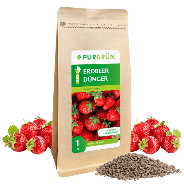 Purgrün Bio-Erdbeerdünger 1 kg
