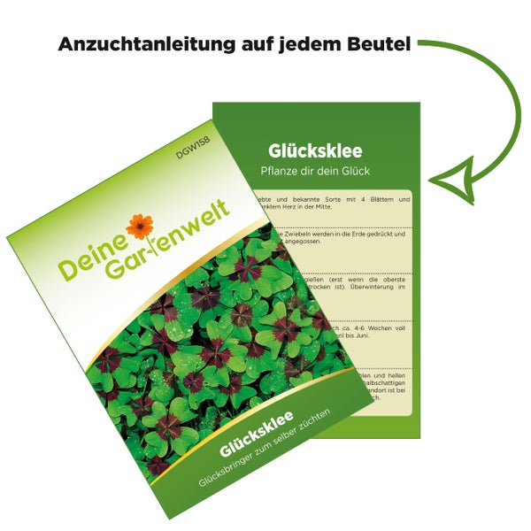 Samenbeutel für Glücksklee der Marke Deine Gartenwelt mit Anzuchtanleitung auf der Rückseite.