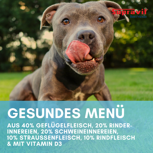 Supravit Logo. Motiv: Hund mit Futter.