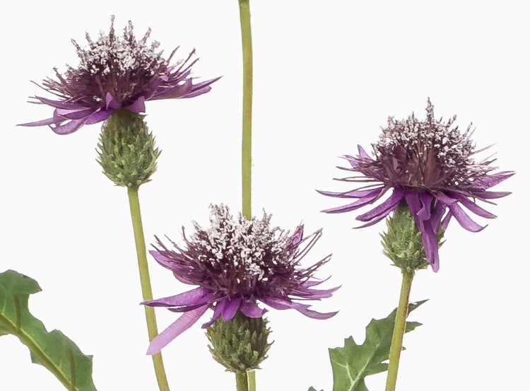 Detailaufnahme eines grünen künstlichen Pflanzenstiels mit Blättern aus Kunststoff.