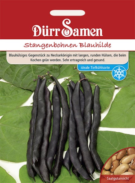 Dürr Samen Logo, Samentüte für Stangenbohnen Blauhilde mit Bohnenhülsen, Blättern, Saatgutansicht und Symbol für Tiefkühl-Eignung.