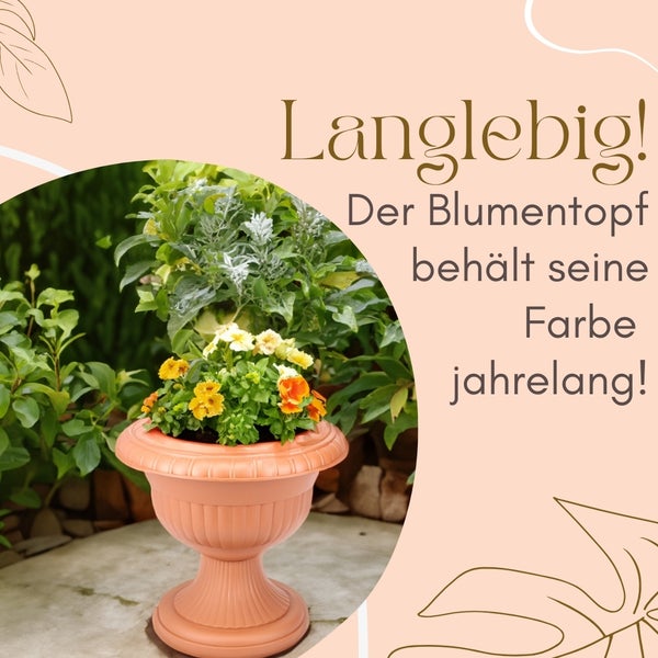 Blumentopf mit Pflanzen im Garten. Der Blumentopf behält seine Farbe jahrelang.