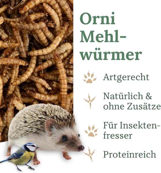 Orni Mehlwürmer für eine artgerechte, natürliche und proteinreiche Ernährung von Insektenfressern