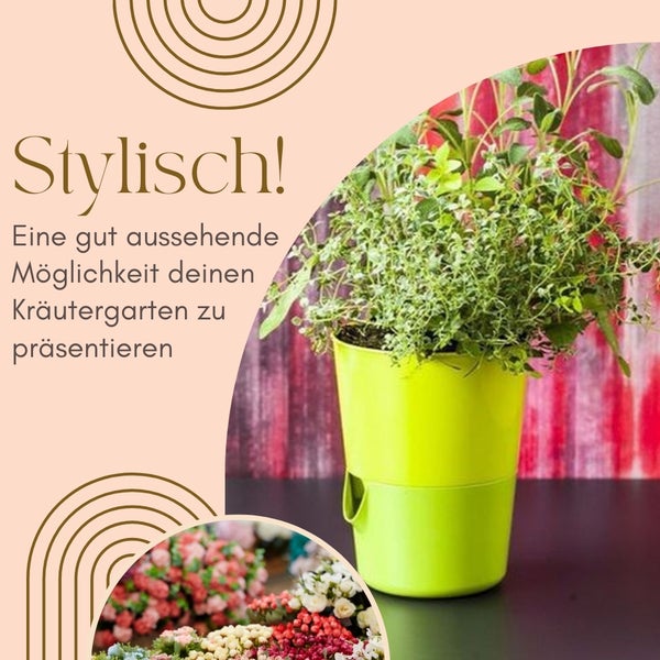 Kräutergarten mit Kräutern in einem Pflanzgefäß