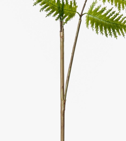 Künstliche Zeder im schwarzen Kunststofftopf, hohe und schmale Kegelform mit grünen Nadeln.