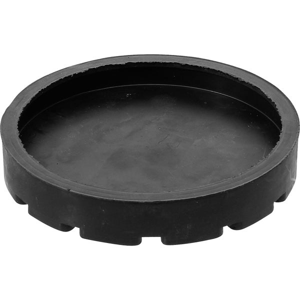 Plattpfirsichbaum mit grünen Blättern und unreifen flachen Früchten im Topf.