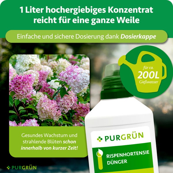 Purgrün Rispenhortensie Dünger, 1 Liter Konzentrat für circa 200 Liter Gießwasser, inklusive Dosierkappe für gesundes Wachstum und Blüten.