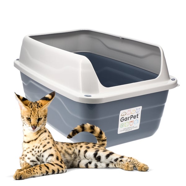 GarPet Katzentoilette mit hohem Schutzrand und offenem Einstieg, abgebildet mit einem Serval zum Größenvergleich. GarPet Logo.