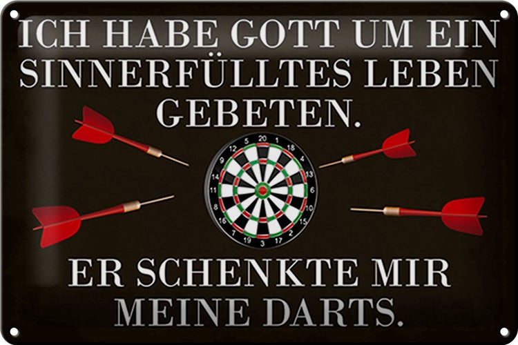 Blechschild Spruch 30x20cm Gott schenkte mir meine Darts