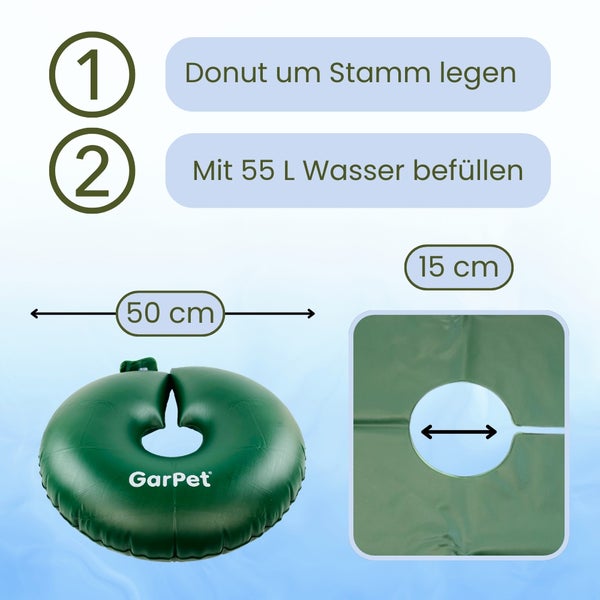 Fetthenne 'Purple Emperor' im Gartenbeet