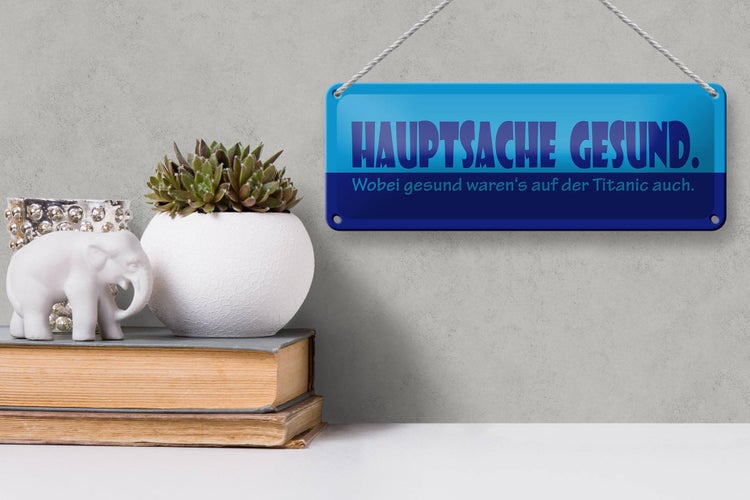 Blechschild Spruch 27x10cm Hauptsache gesund Dekoration