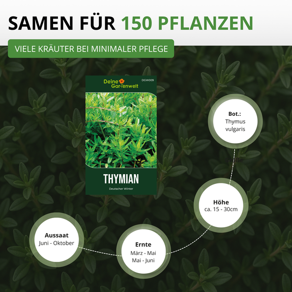 Deine Gartenwelt Logo, Thymian Samen für 150 Pflanzen, Deutscher Winter, Aussaat Juni bis Oktober, Ernte März bis Juni, Höhe circa 15 bis 30 cm.