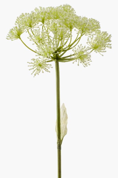 Künstliche Doldenblüte als Dekorationsstiel