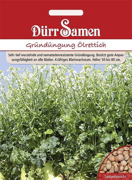 Dürr Samen Logo, Samenpackung Gründüngung Ölrettich, tief wurzelnd, nematodenresistent, Wuchshöhe 50 bis 80 Zentimeter.
