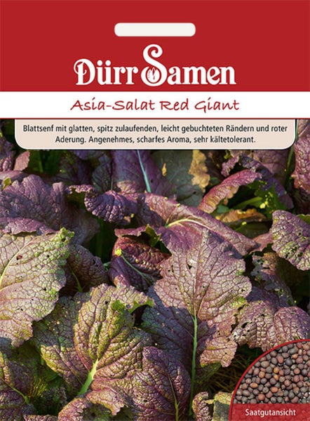 Dürr Samen Logo, Samentüte Asia-Salat Red Giant, Blattsenf mit rötlich geäderten Blättern und Saatgutansicht.