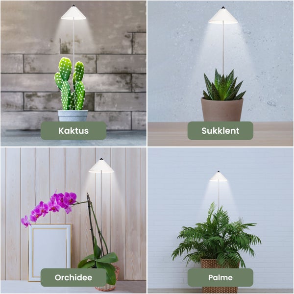 Parus by Venso SUNLiTE 7W LED Vollspektrum Pflanzenlampe Weiß, Indoor Plants Pflanzen Beleuchtung, mit ausziehbarem Teleskopstab, Parus Pflanzenlampe für kleine und mittelgroße Zimmerpflanzen