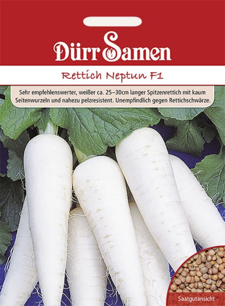 Samentüte für Rettich Neptun F1 mit Dürr Samen Logo, Abbildung von weißen Rettichen und Detailansicht der Samen.
