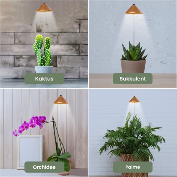 Parus by Venso SUNLiTE 7W LED Vollspektrum Pflanzenlampe Kupfer, Indoor Plants Pflanzen Beleuchtung, mit ausziehbarem Teleskopstab, Parus Pflanzenlampe für kleine und mittelgroße Zimmerpflanzen