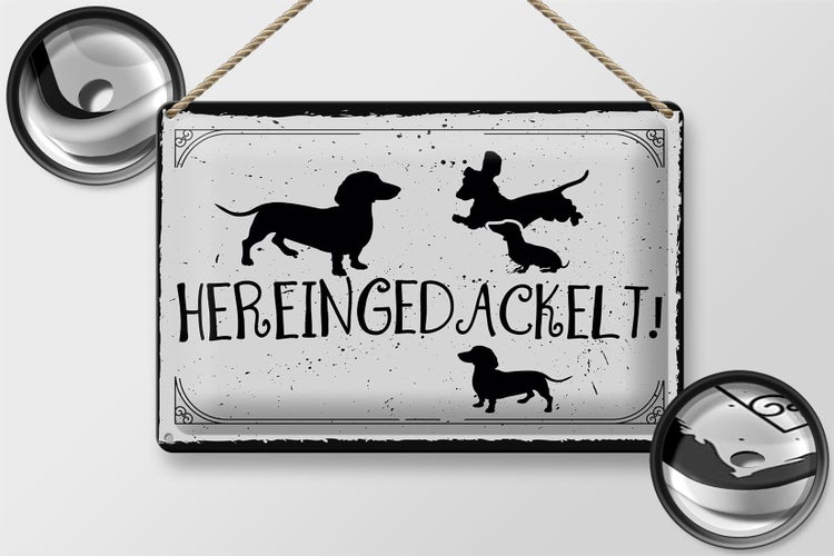 Blechschild Spruch 30x20cm Hereingedackelt