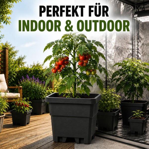 Tomatenpflanzen in Kunststofftöpfen für den Innen- und Außenbereich, dargestellt auf einer Terrasse und in einem Growzelt.
