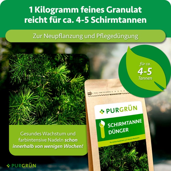 PURGRÜN Schirmtannen Dünger in wiederverschließbarer Verpackung für gesundes Wachstum und farbintensive Nadeln bei Schirmtannen.