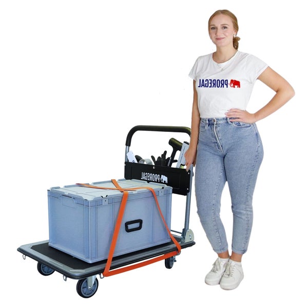 Frau mit Sackkarre, Transportbox und Zurrgurt