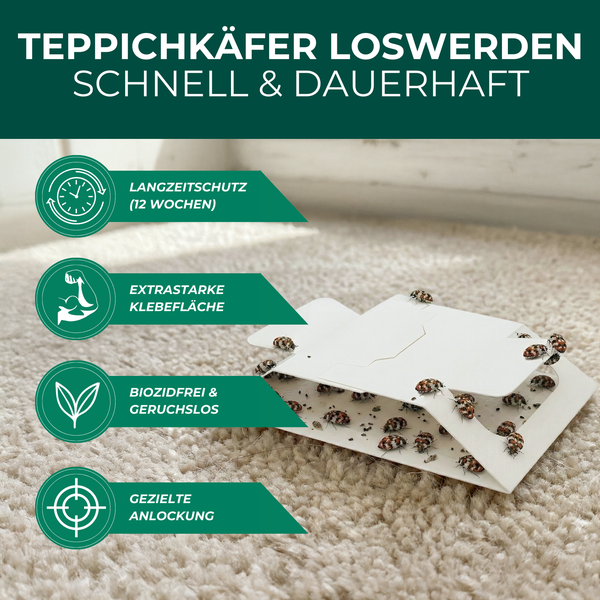 Falle zur Bekämpfung von Teppichkäfern mit Langzeitschutz, starker Klebefläche, ohne Biozide und geruchlos.